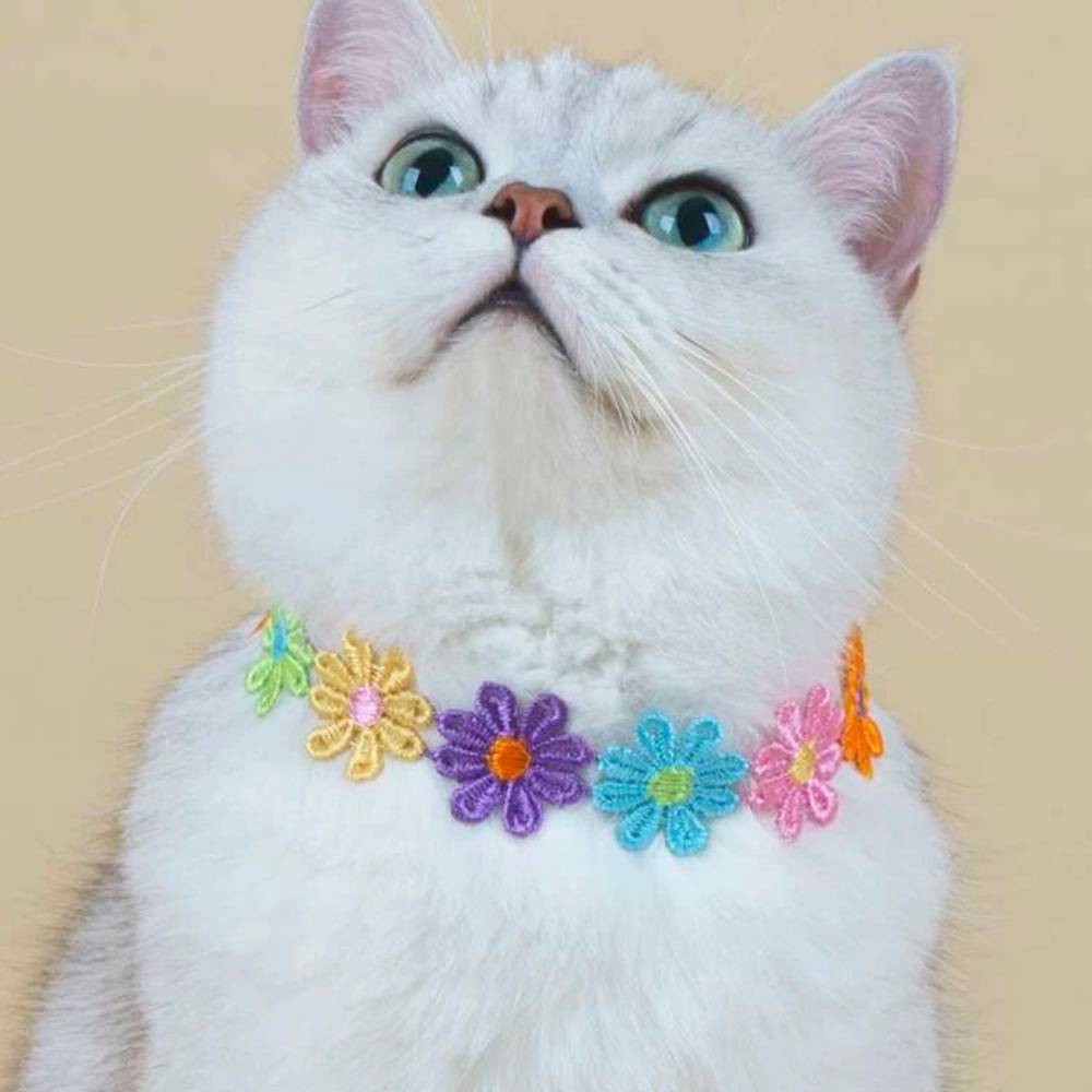 “ Doll me Up my Fur Mama”  Flower Decor Pet Necklace/ Accessories